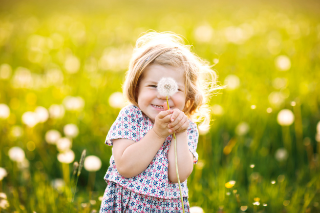 Child in a field holding a flower
