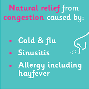 Causes of congestion banner